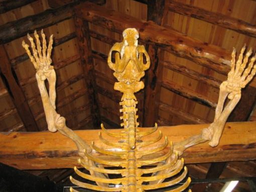 Musée de la Grotte de l’Ours - Tella