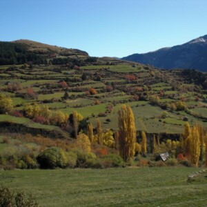 AETS Ordesa Sobrarbe Pirineos AETS Ordesa Sobrarbe Pirineos