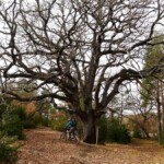 AETS Ordesa Sobrarbe Pirineos AETS Ordesa Sobrarbe Pirineos